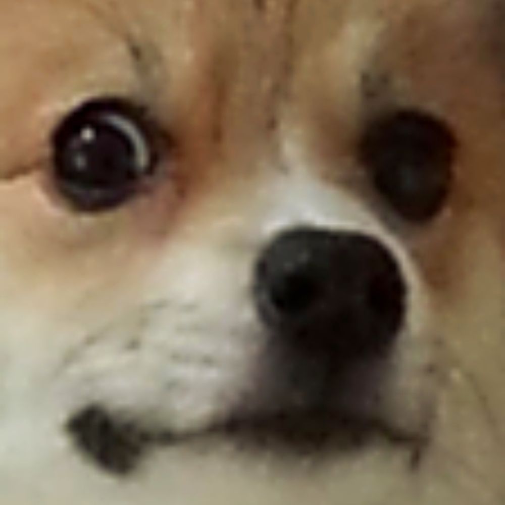 Kira NoOkami