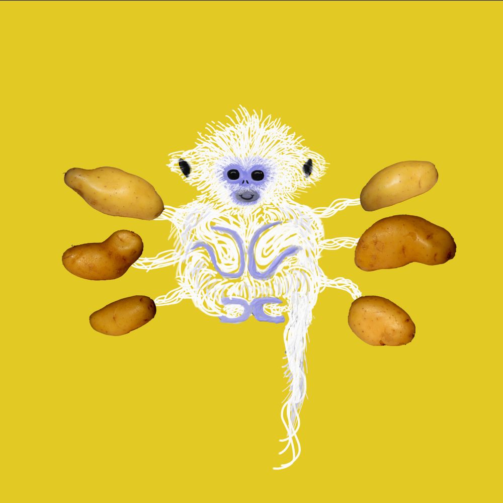 Kartoffelaffe