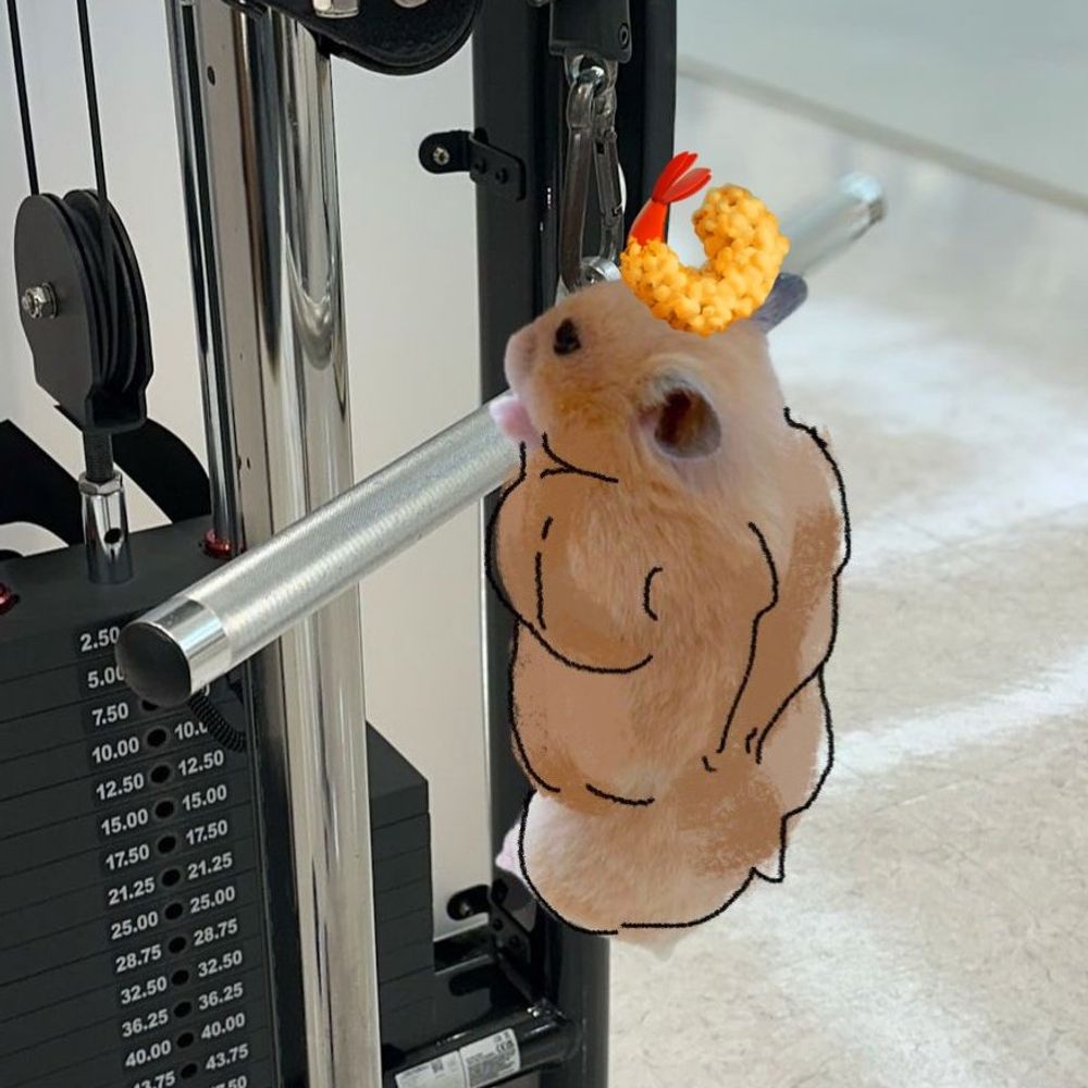 백하마