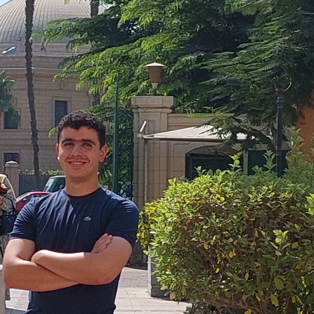 Kareim Tarek