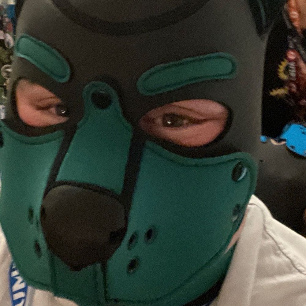 Draco Pup