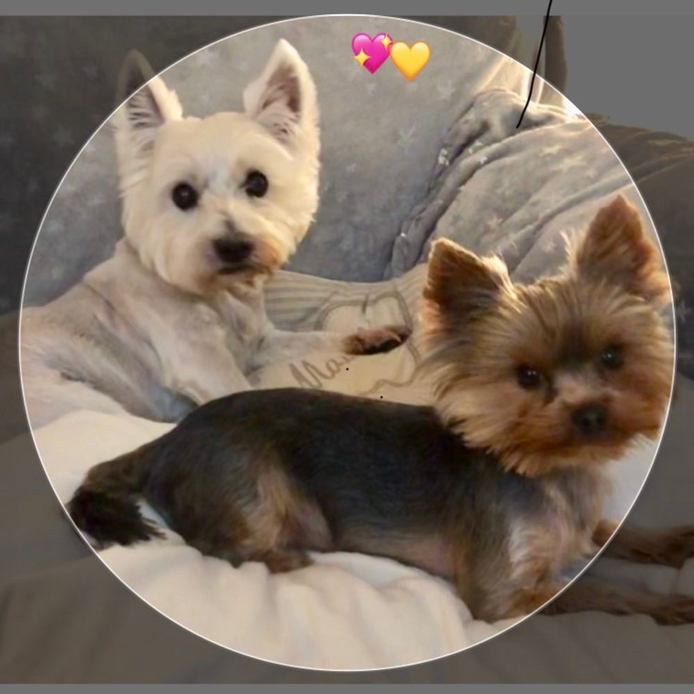 BraveWinston (and Billy & Beatrix too)