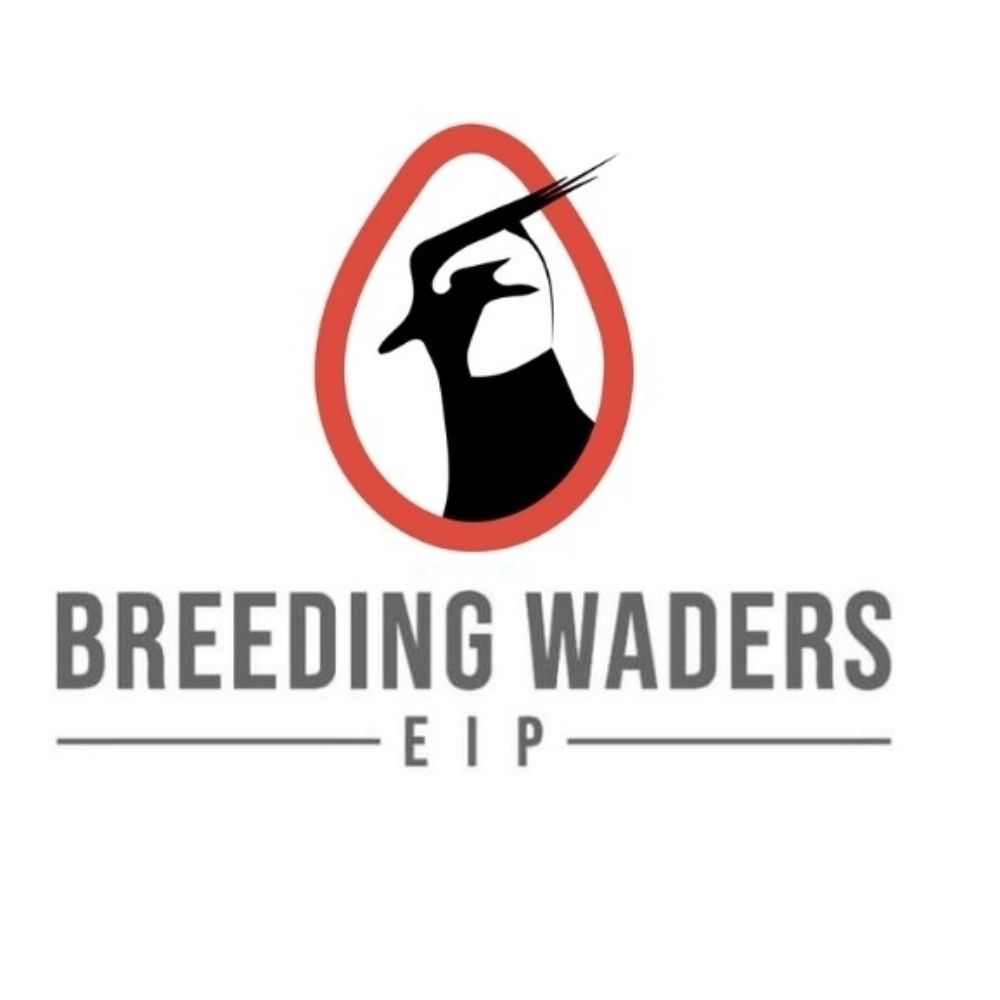 Breeding Waders EIP