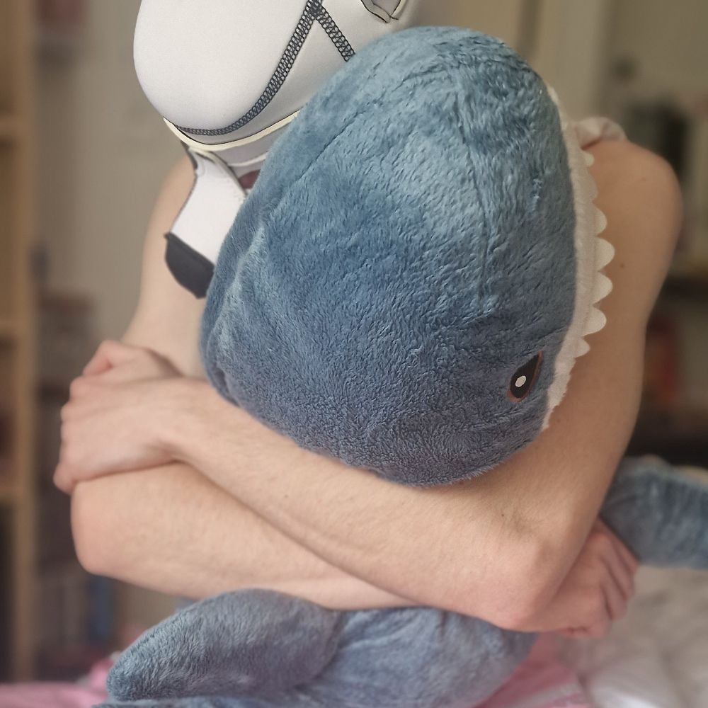 Lil shark