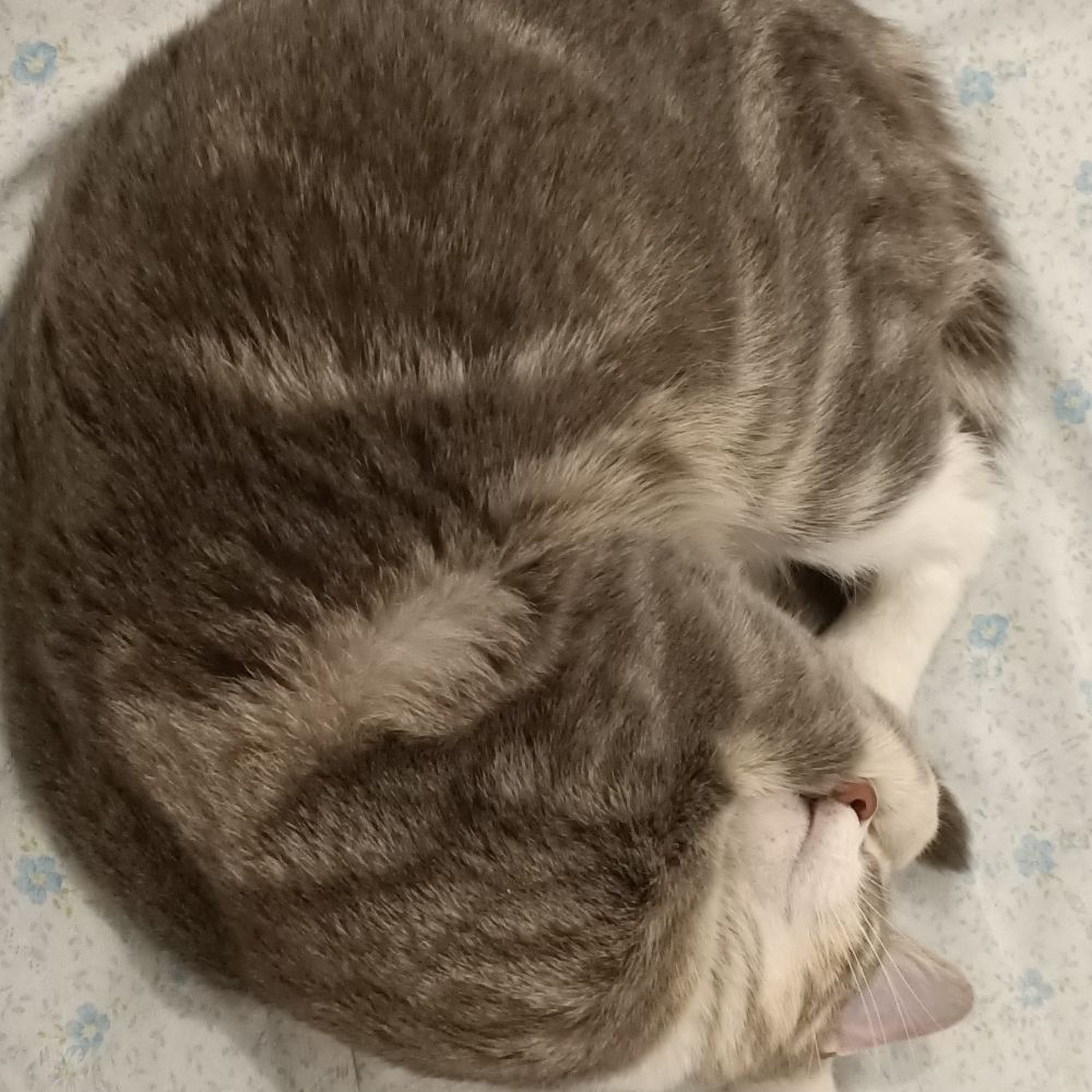 Thomas