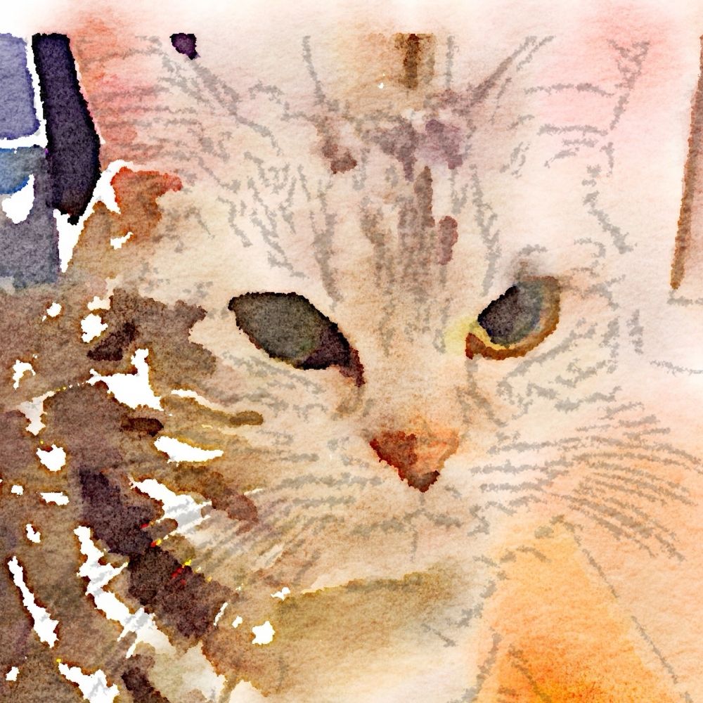 コモモスモモ