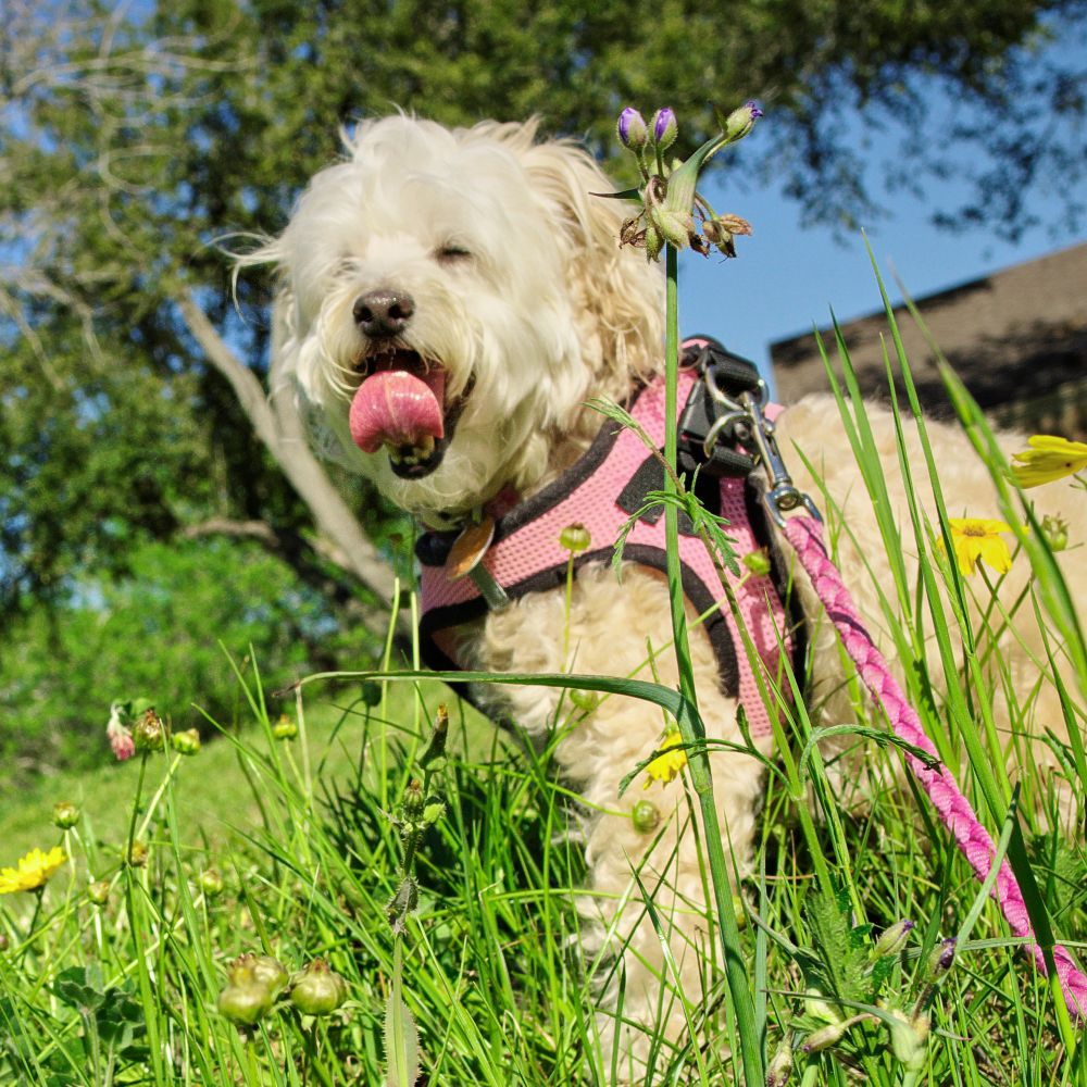 fadedphotos.bsky.social