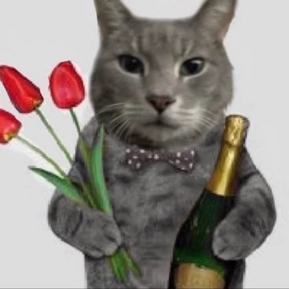 vincebince.bsky.social