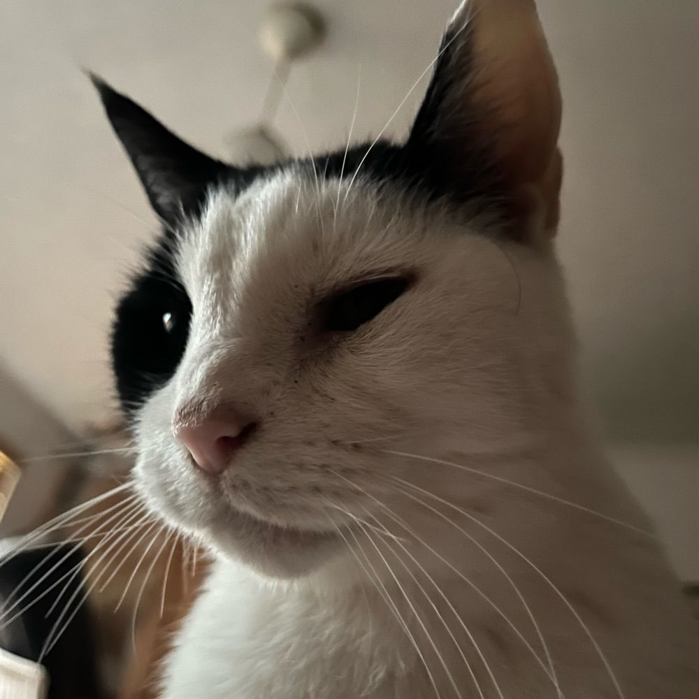 Amy G C S