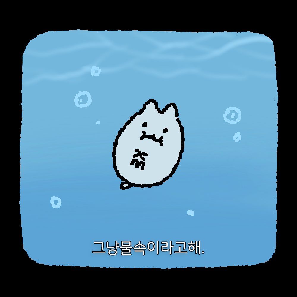 쿠키