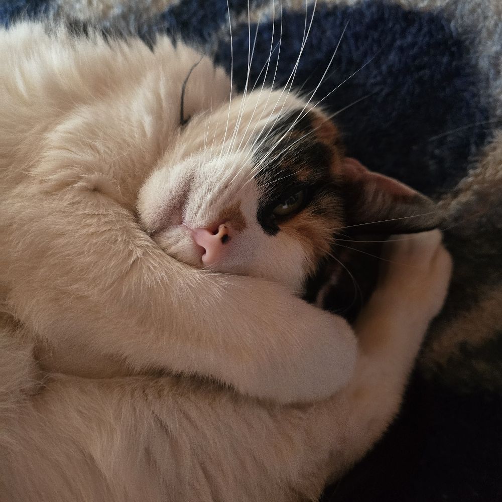 Olivand Jasper