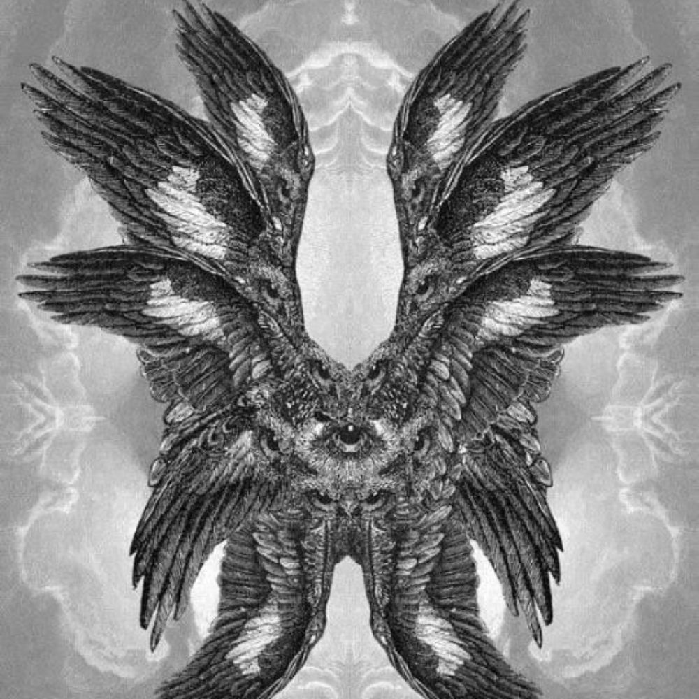 Darko🦇☯️👁