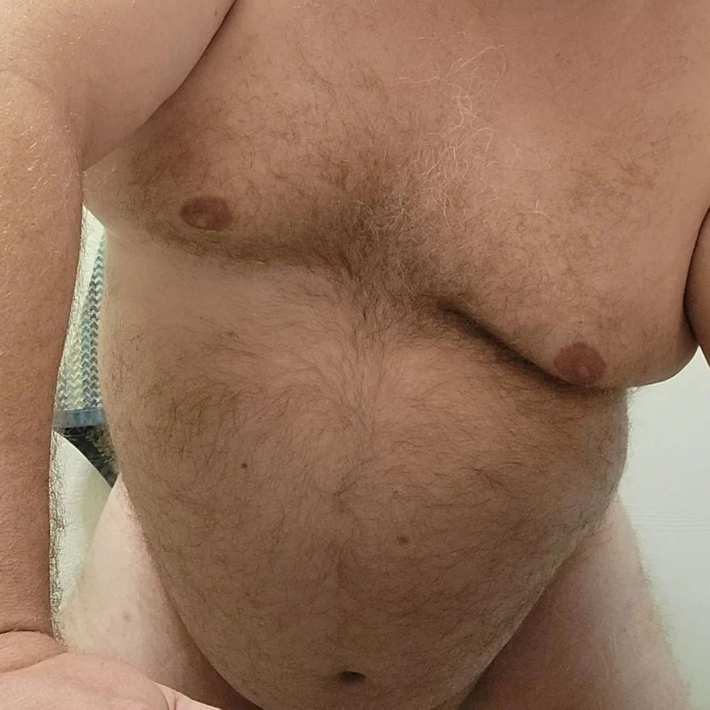 BitterBearSF