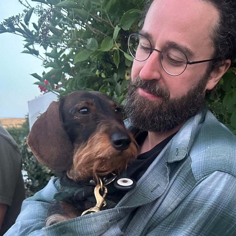 Phil the Dog Walker