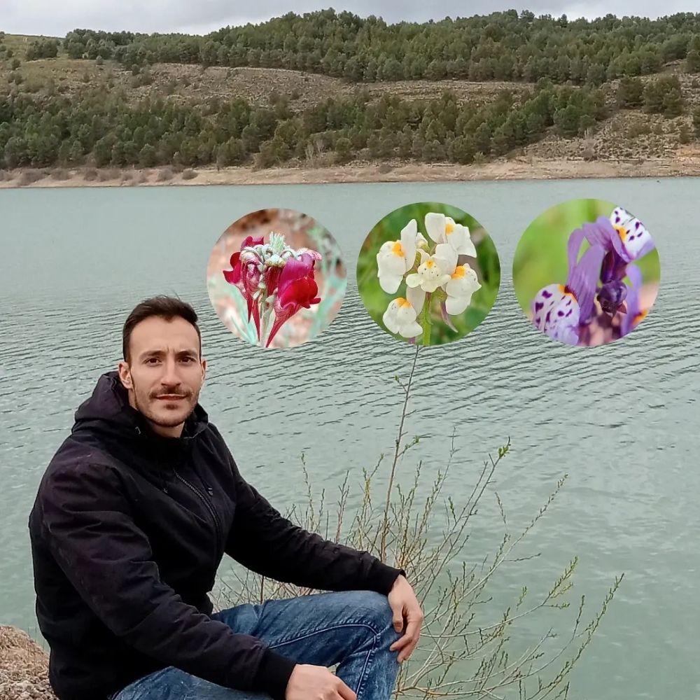 Alejandro Alonso Hdez