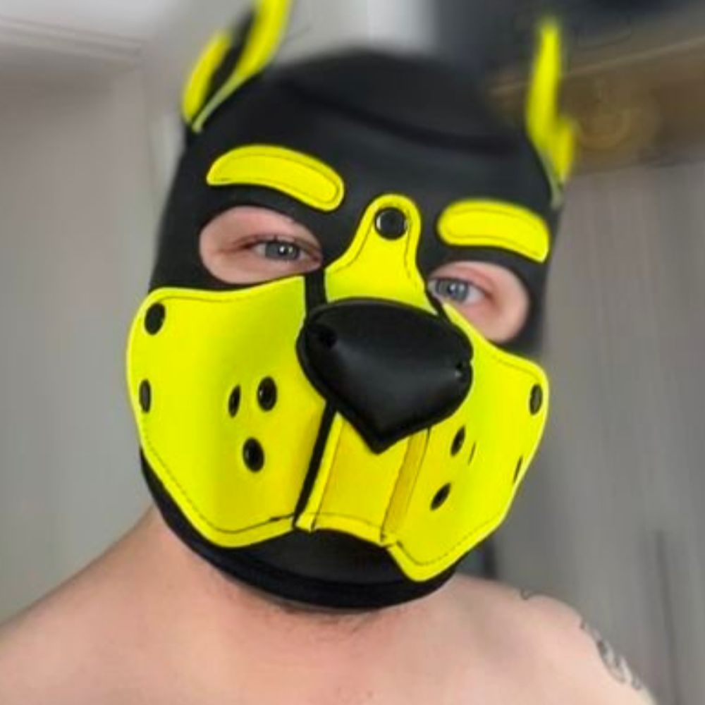 K9SHINE