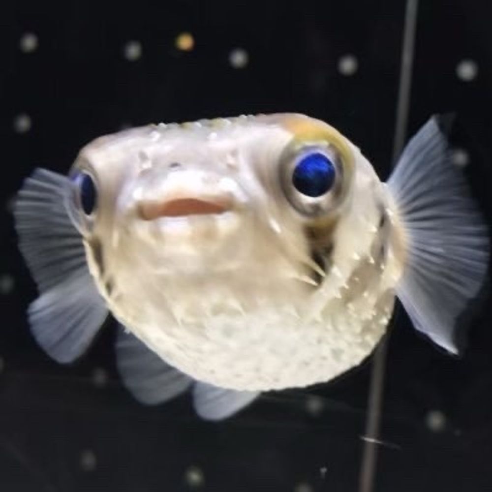 ふぅ