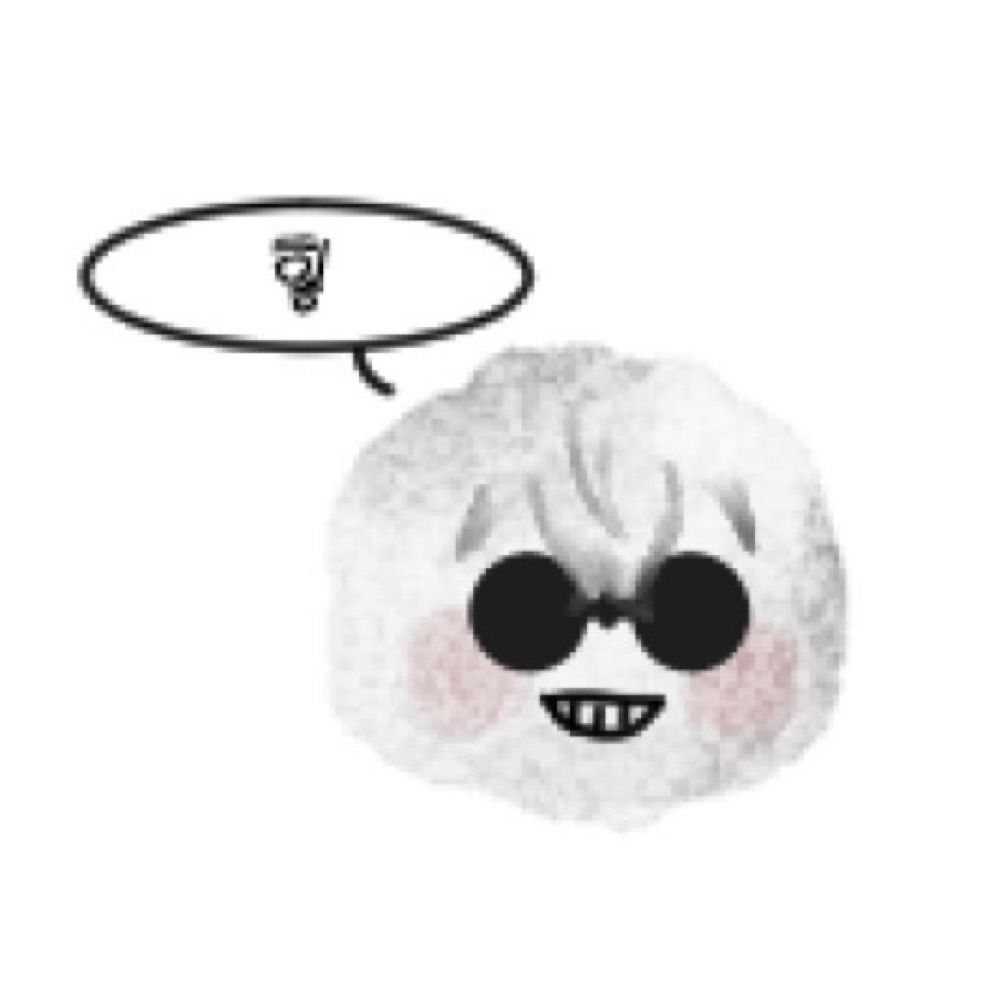 🪦에보관짝🪦