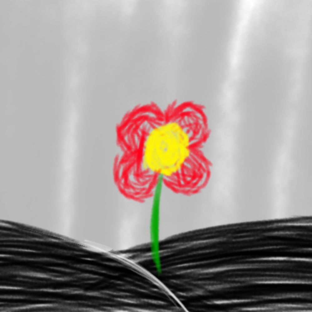 🟥Red flower🟥