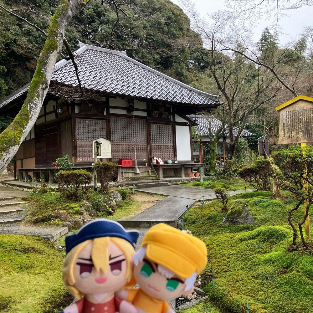 ぱんだの避難所