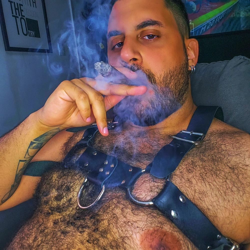 Mrcigarbear
