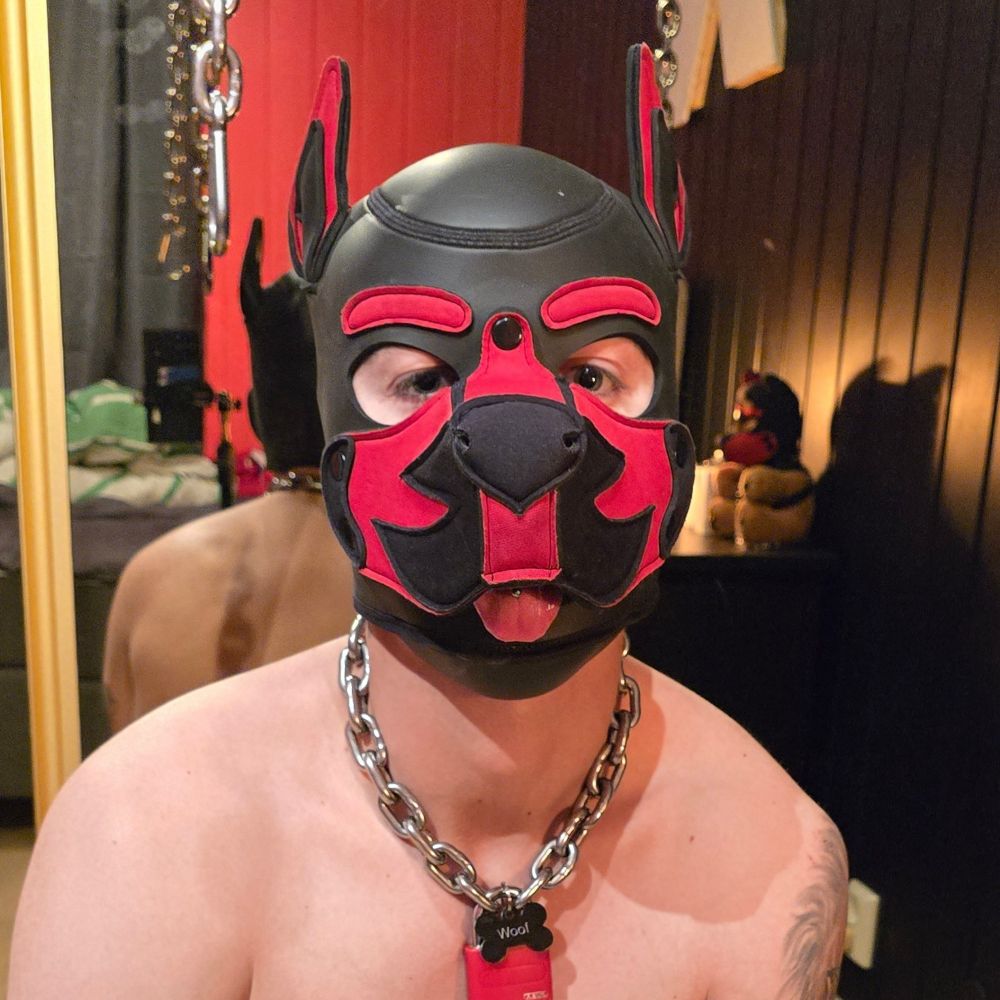 Woof!🇸🇯