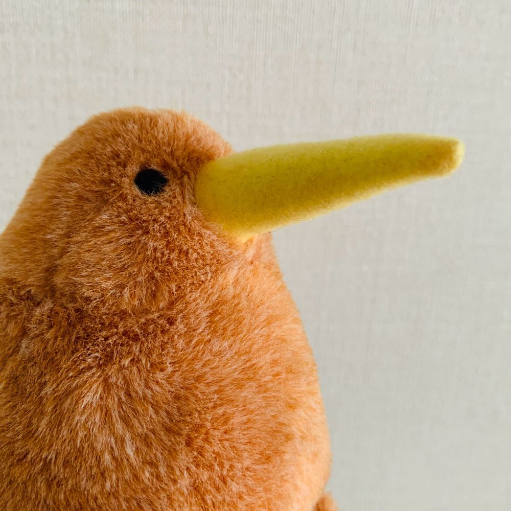 ねじこ