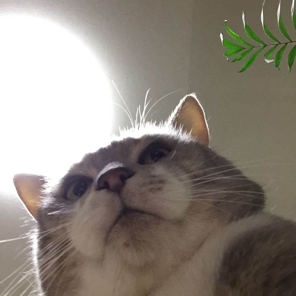 リョウテンテン