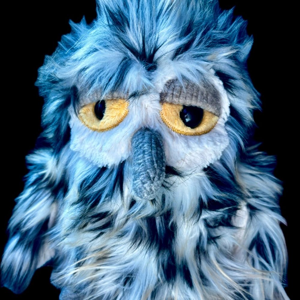 MsBird