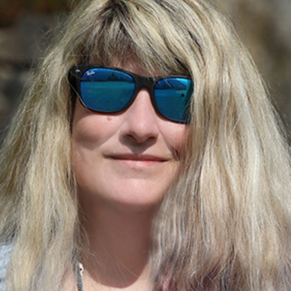 Author Lisa Silverthorne