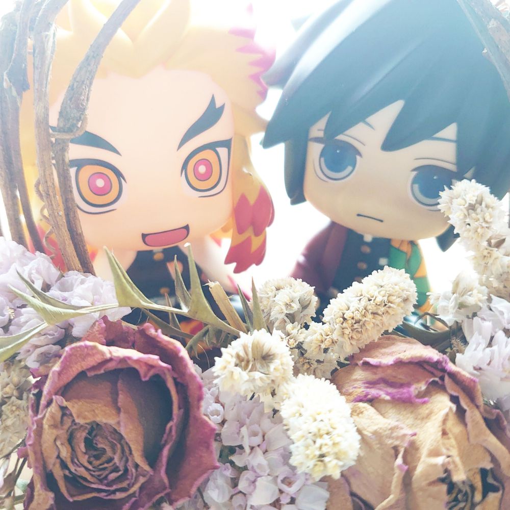さくら🌸