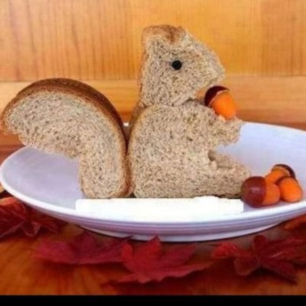 SquirrelSavvy17