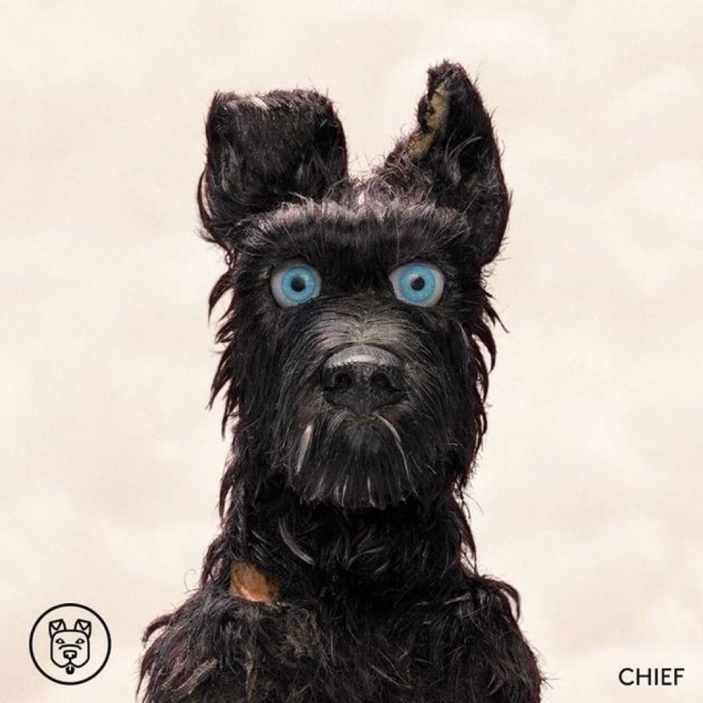 chief