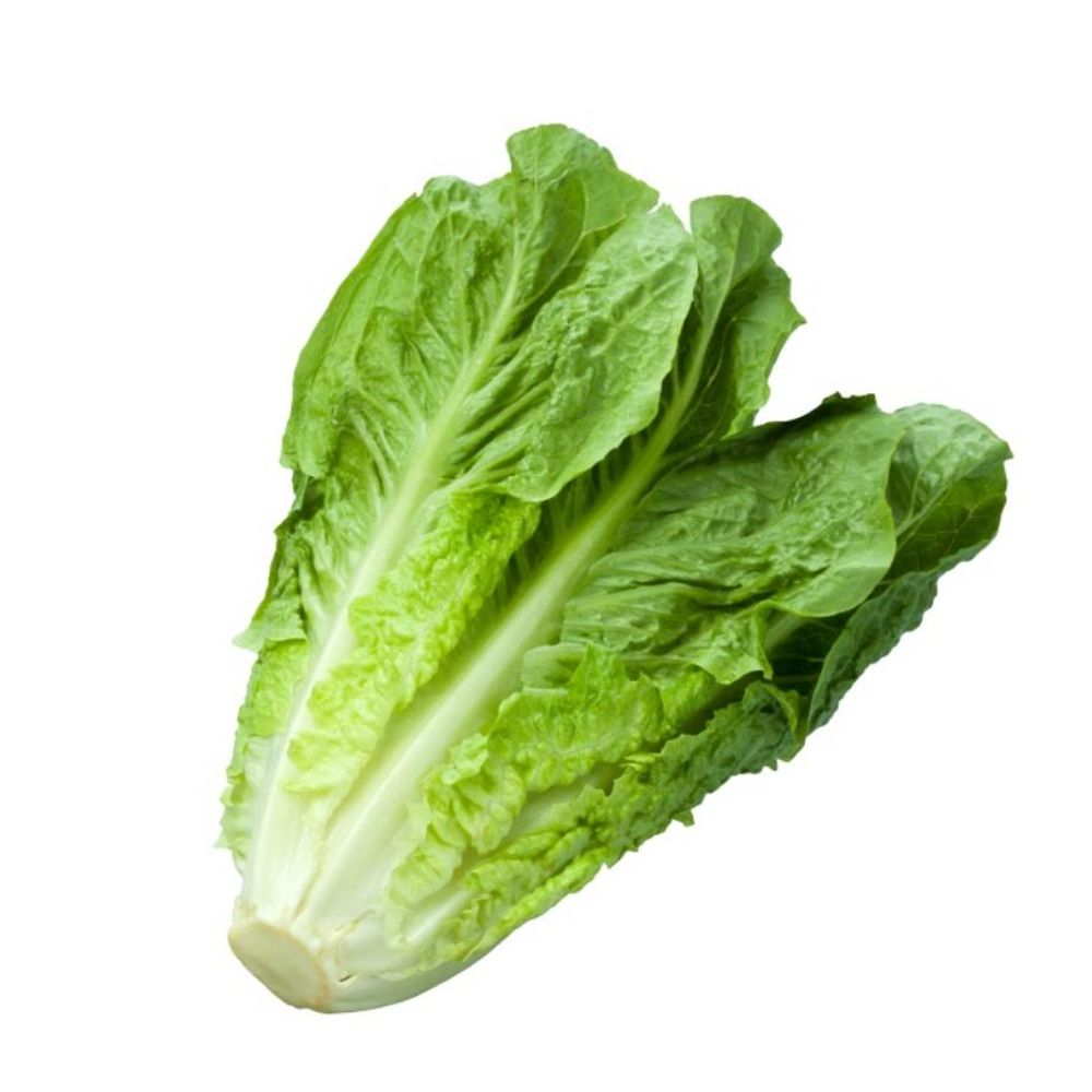 Retasu