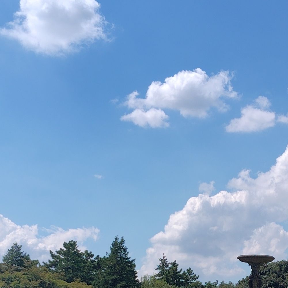 おひや