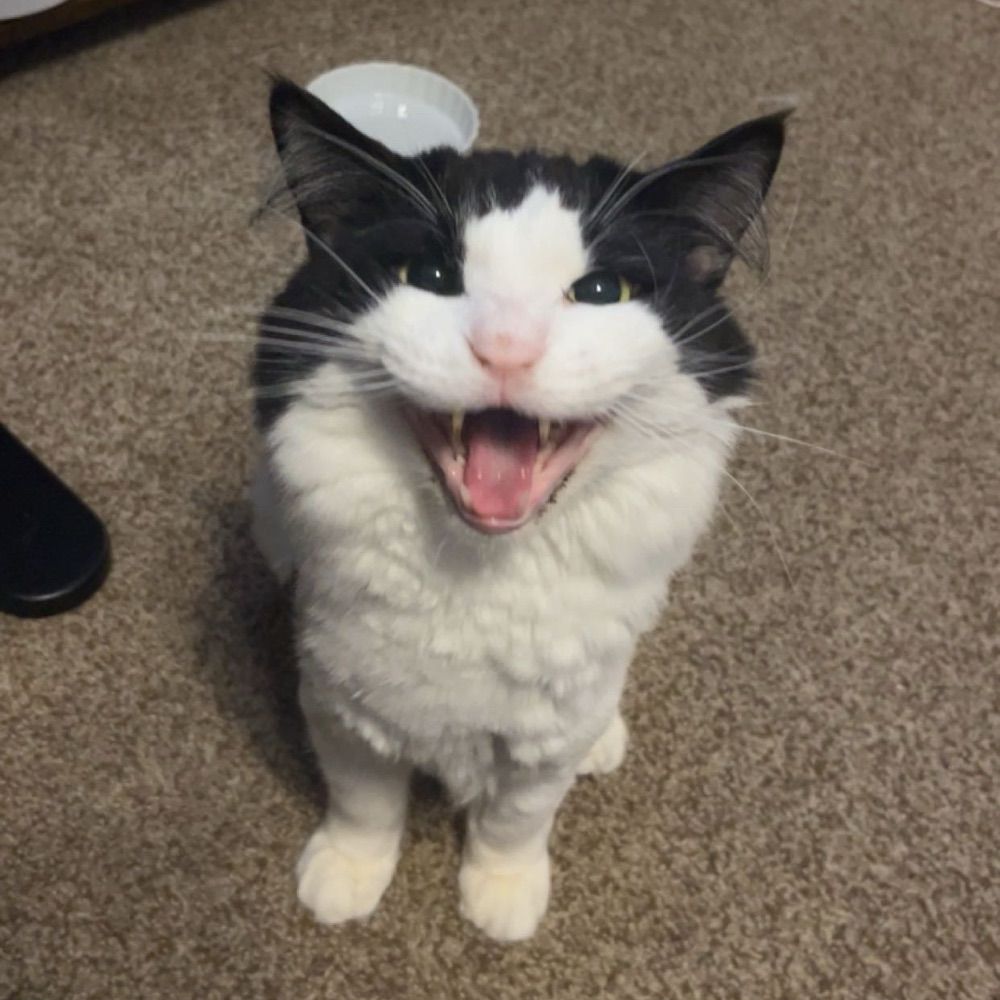 ReluctantFoot