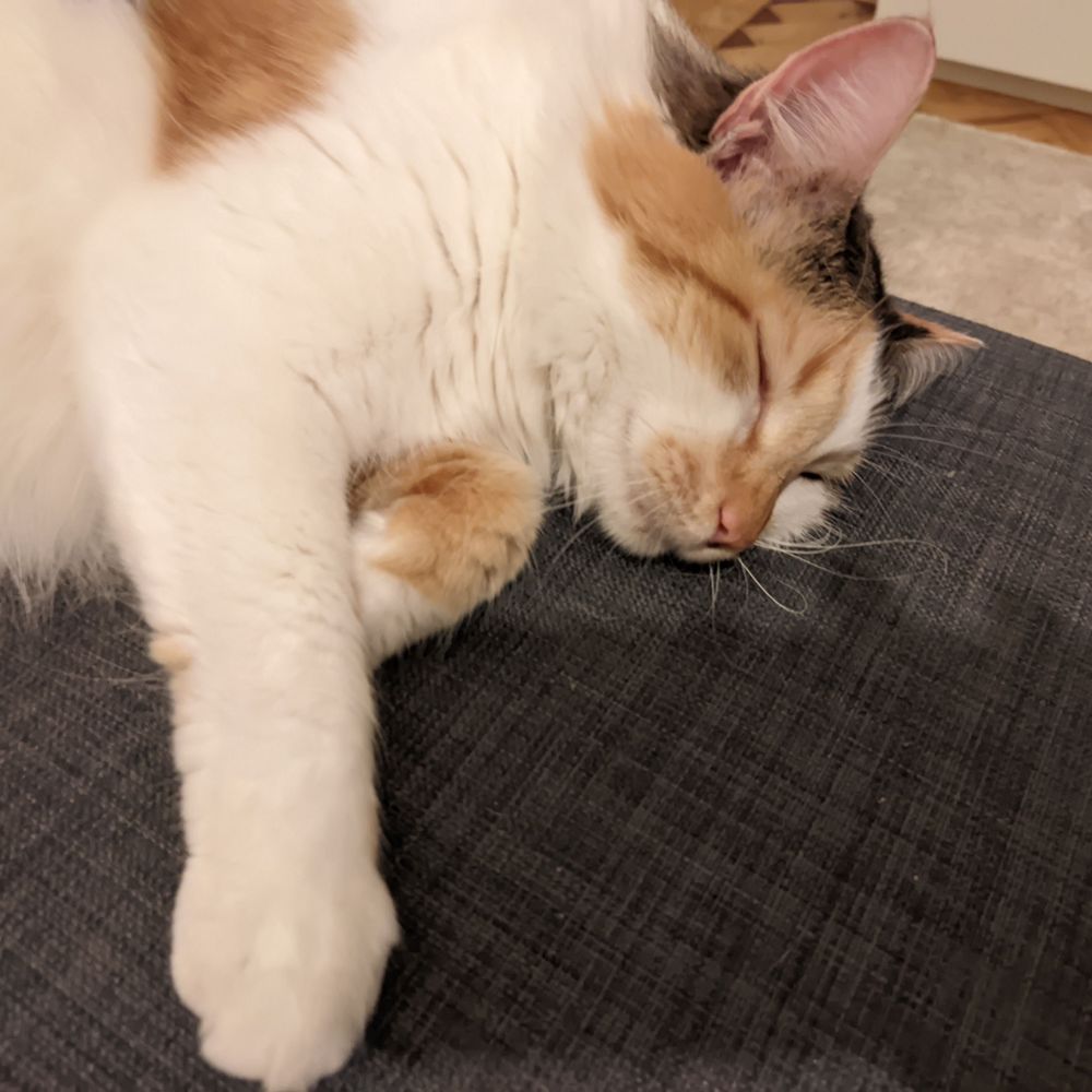 diego