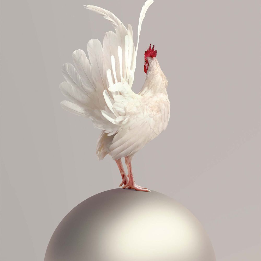 Tim Palen