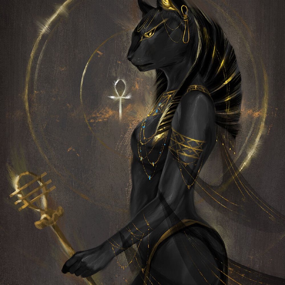 Bastet Brin