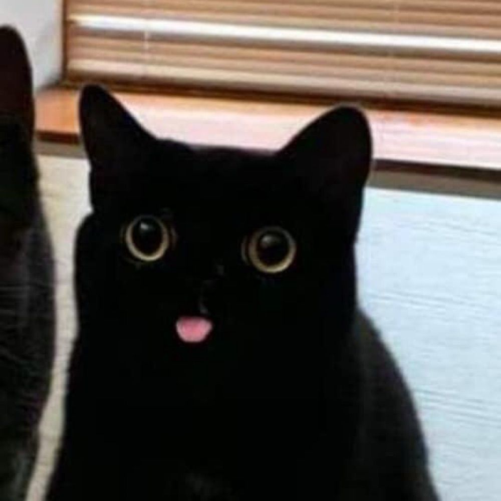 snack reacher