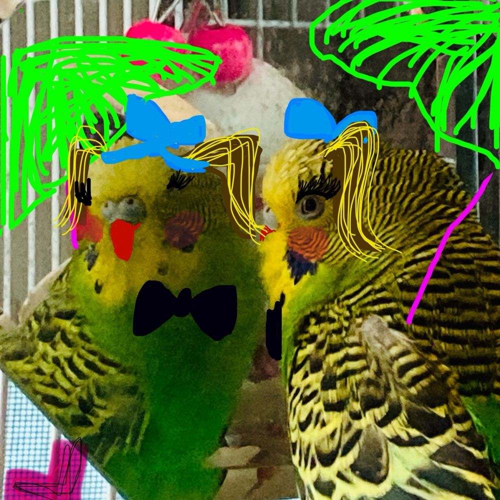 COẞIMØ