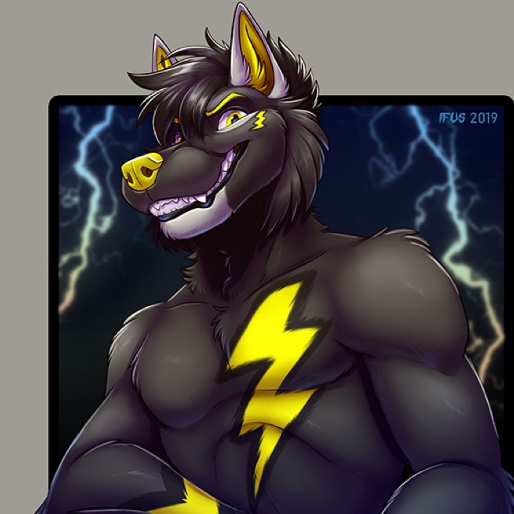 Knoxer Wolf
