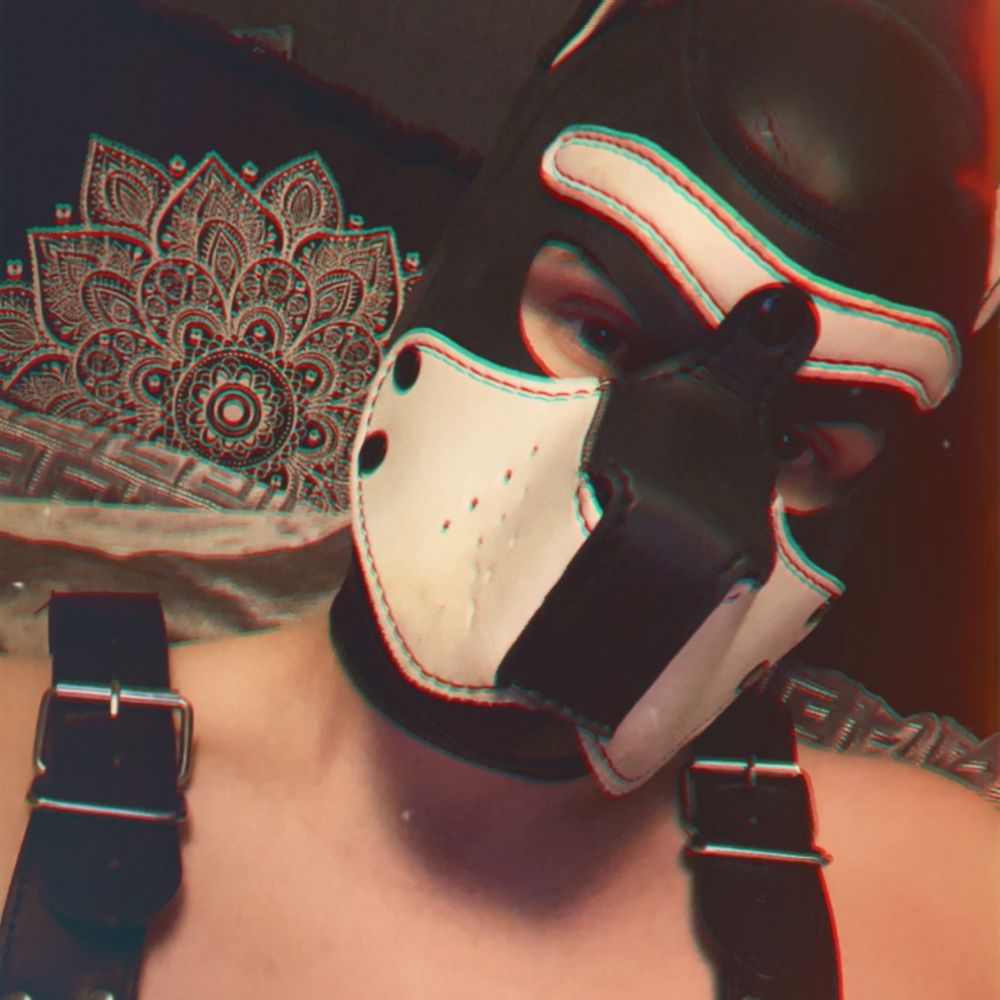 Pup Kody