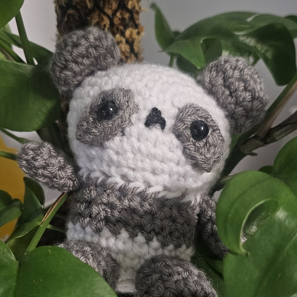 Chy Crochets