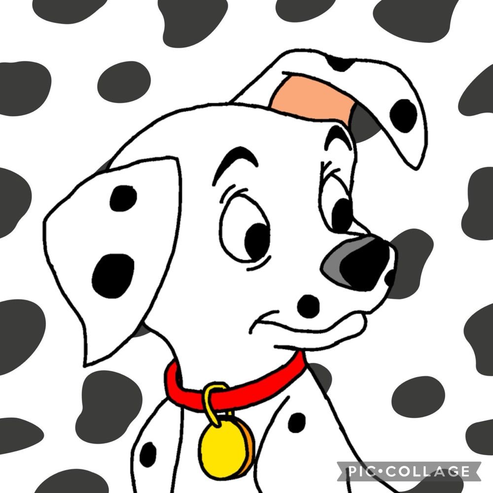 🐶Pat Dalmatian 🐶