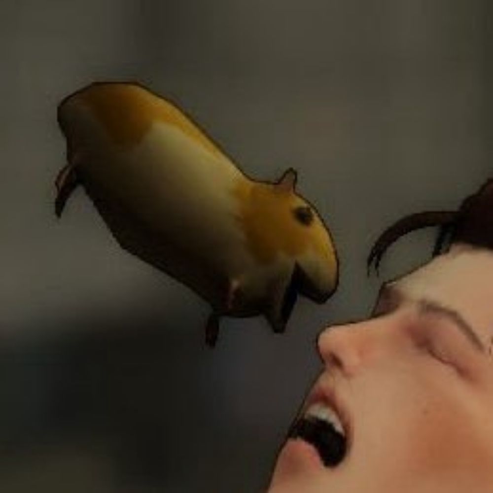 나루