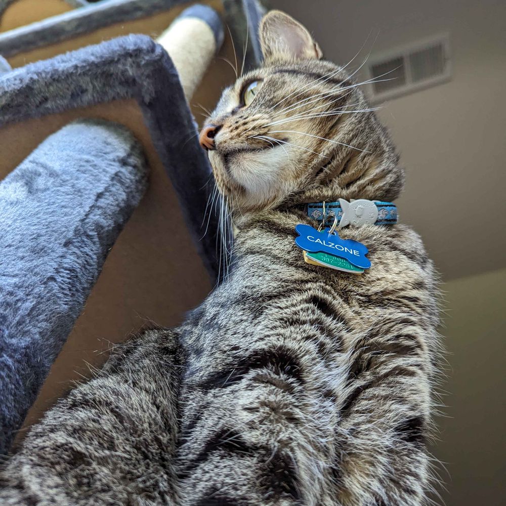 joob