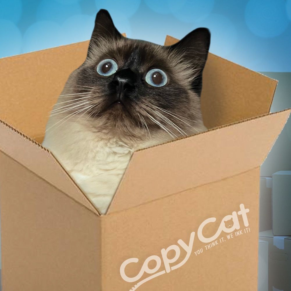 CopyCat