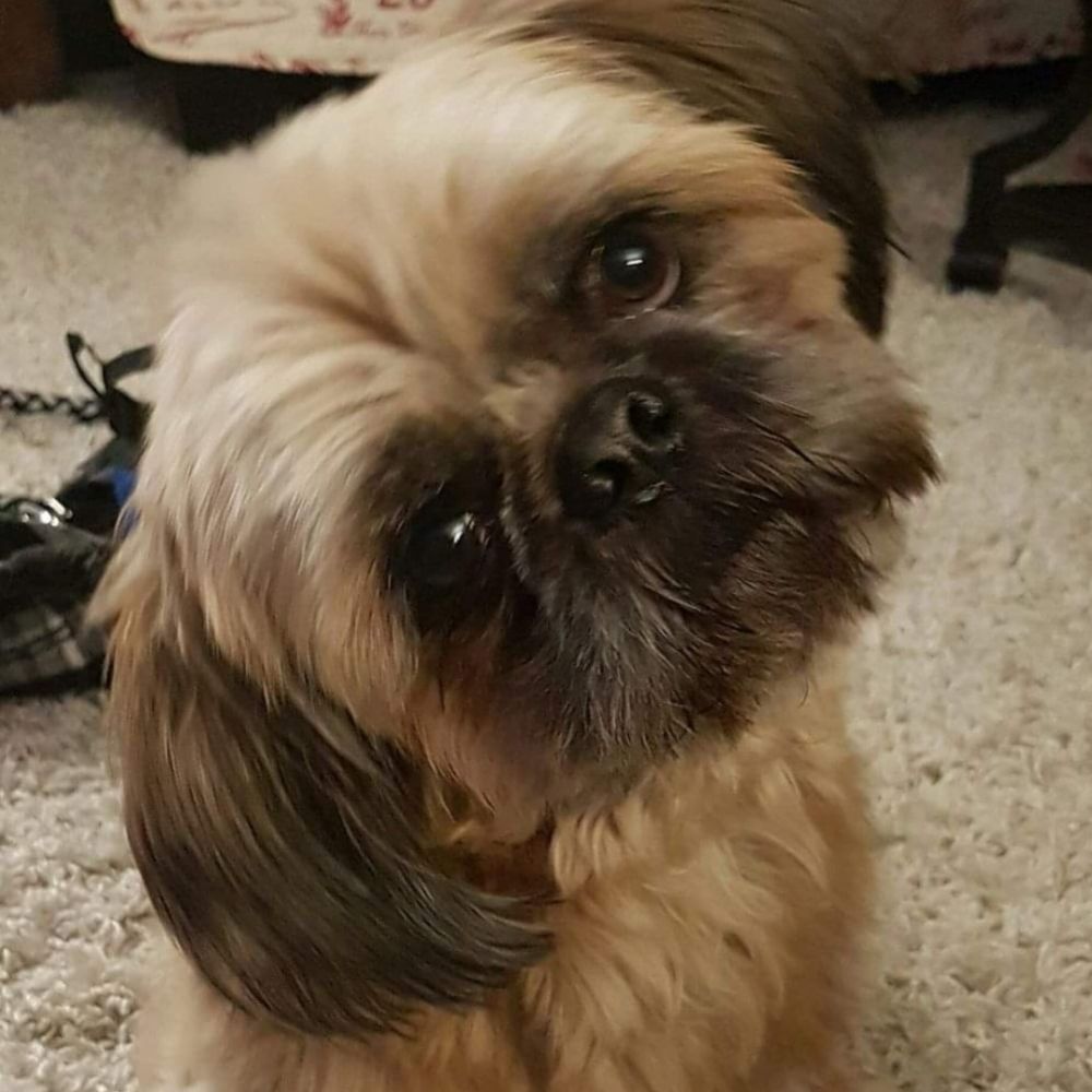 SuzyQ