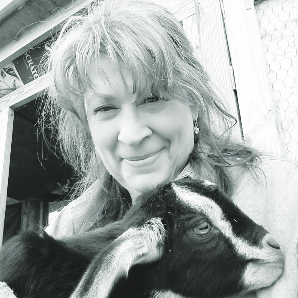 Deb Kolaras